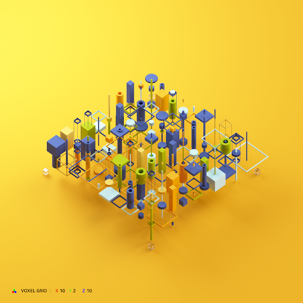 VOXEL GRID #0200 : 10 x 2 x 10